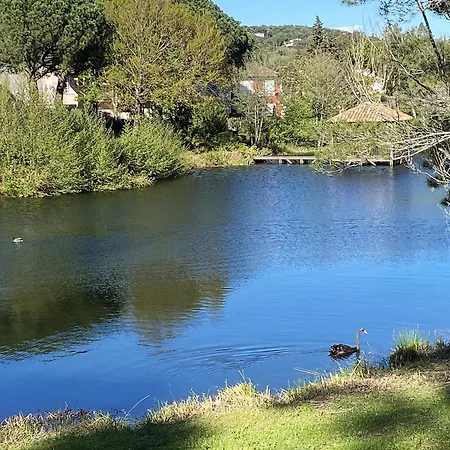 Les Bastides 30281 Nyaraló Grimaud