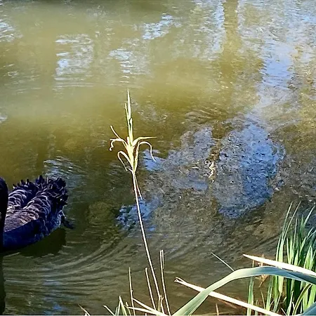 Les Bastides 30281 Nyaraló
